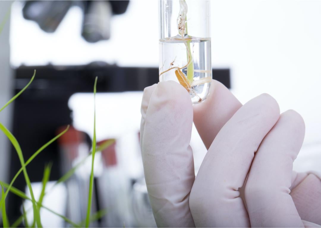 The 3 highestpaying jobs in Abilene in the science field