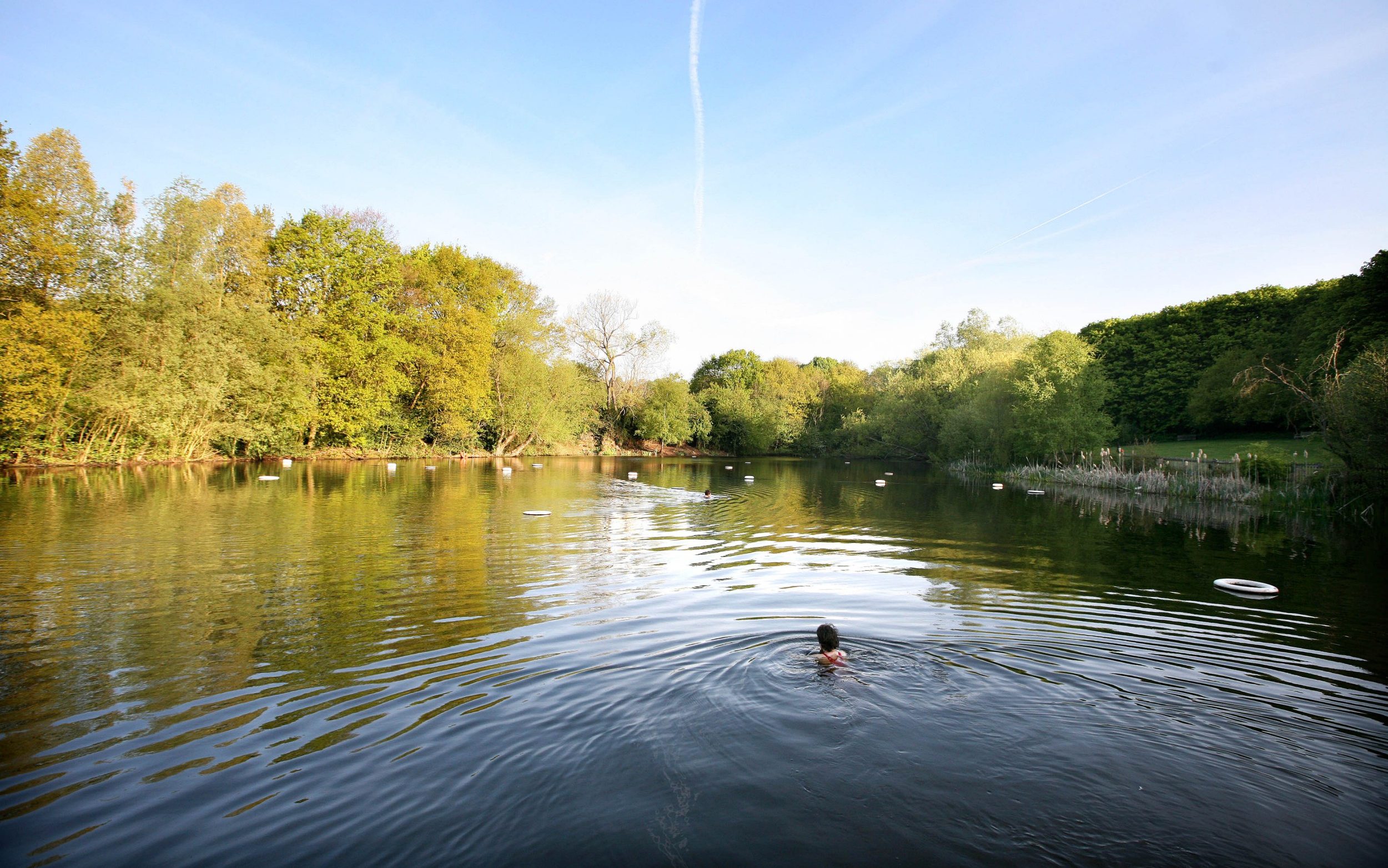 hampstead ladies’ pond trans row ends in shouting match