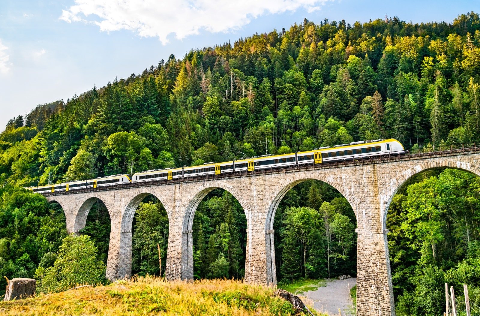 <p><span>The Black Forest Railway, known for its engineering marvels and scenic beauty, offers one of Europe’s most picturesque train journeys. This historic railway line, winding through the heart of the Black Forest, passes through deep valleys, dense woodlands, and charming villages.</span></p> <p><span>The route is characterized by numerous tunnels and viaducts, including the iconic Ravenna Gorge viaduct. Traveling on this railway is like stepping back in time, as the vintage trains and historic stations evoke a bygone era. The journey provides a unique perspective of the Black Forest, showcasing its diverse landscapes and the changing seasons.</span></p> <p><span>Whether shrouded in winter snow or basked in summer sunlight, the views from the train are always captivating. The Black Forest Railway captures the essence and beauty of this enchanting region.</span></p> <p><b>Insider’s Tip: </b><span>Sit on the right side of the train for the best views when traveling from Offenburg to Konstanz.</span></p> <p><b>How To Get There: </b><span>The railway connects Offenburg in the north to Konstanz in the south.</span></p> <p><b>Best Time To Travel: </b><span>Year-round, as each season offers a different perspective of the forest’s beauty.</span></p>