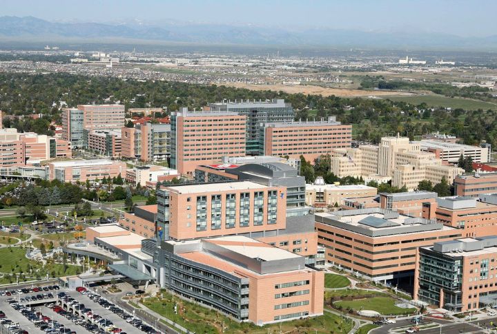<p>Situated on the Anschutz Medical Campus in Aurora, the University of Colorado College of Nursing offers a comprehensive range of programs, from BSN to DNP and Ph.D., including innovative pathways like VBSN – the Veteran to Bachelor of Science in Nursing. It has topline research initiatives and clinical practice opportunities.</p>