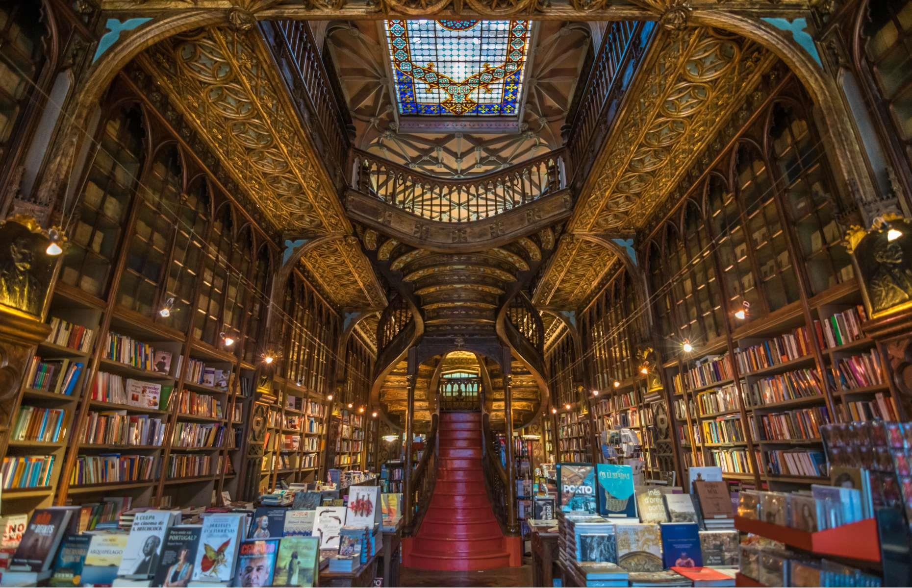 The 23 best dog breeds if you are allergic