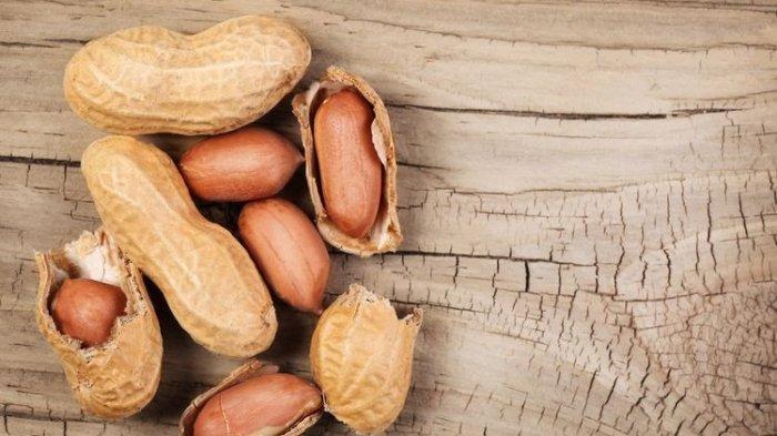 makan kacang tanah bantu turunkan kolesterol tinggi,begini cara mengonsumsinya