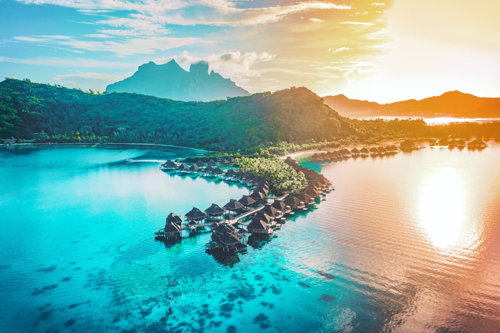 <p>Cruise to remote South Pacific islands, experiencing idyllic beaches, Polynesian cultures, and stunning coral reefs.</p>