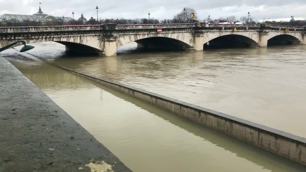 paris: pourquoi la couleur de la seine a viré au marron ces derniers jours