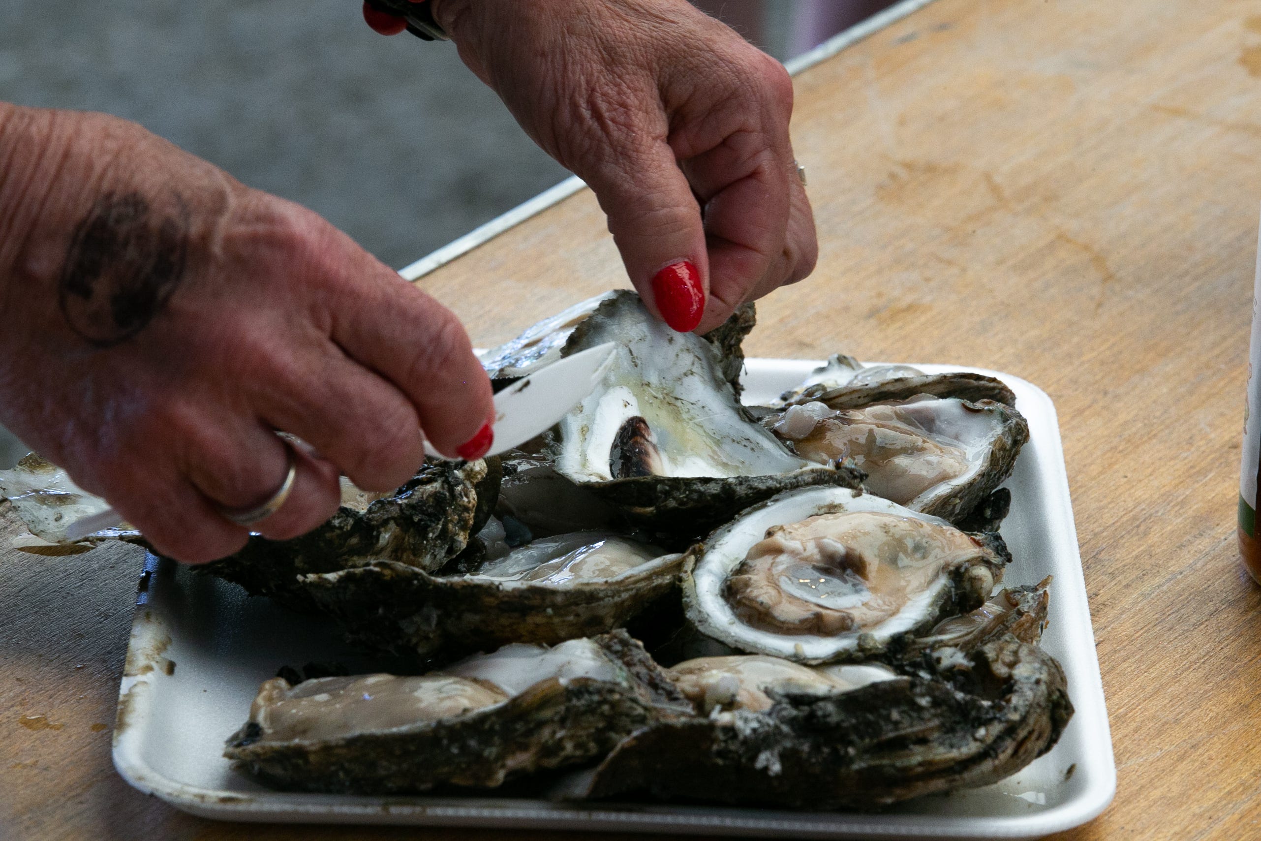 Oysterfest 2024 Your guide to the annual Fulton festival