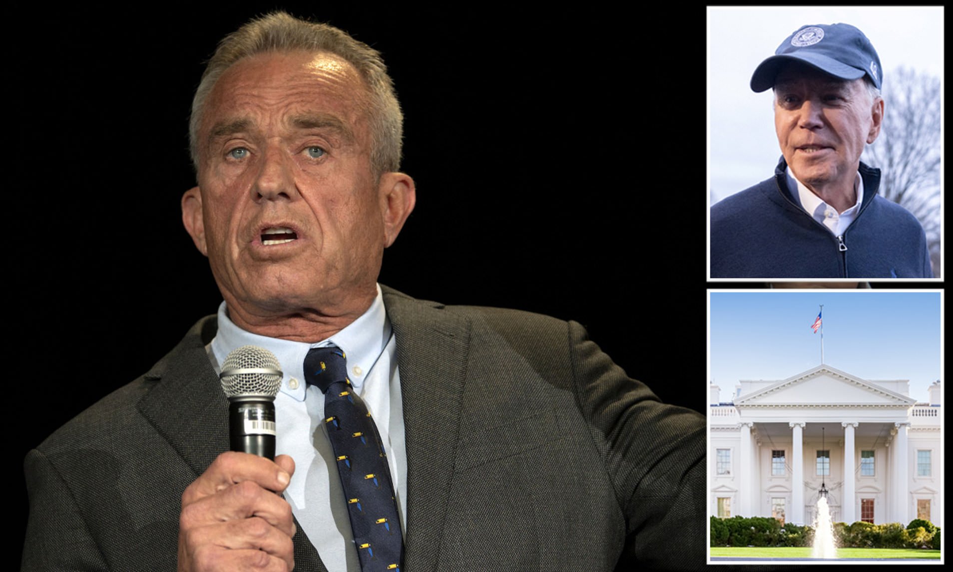 Democrats Try Again To Take Down RFK Jr.'s White House Bid With New ...