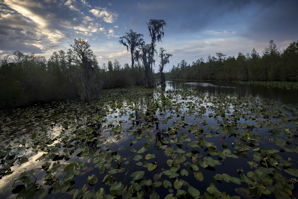 mining company can't tap water needed for okefenokee wildlife refuge, us says