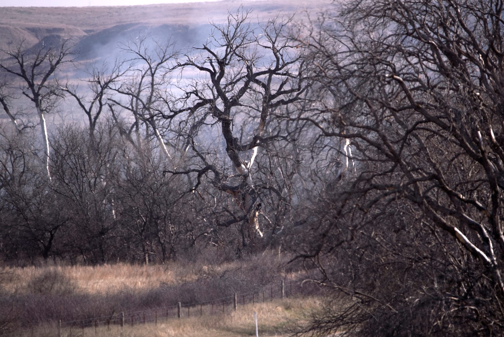 Panhandle Wildfire Monday Recap The Latest On Roughneck Smokehouse   BB1jjs3g.img