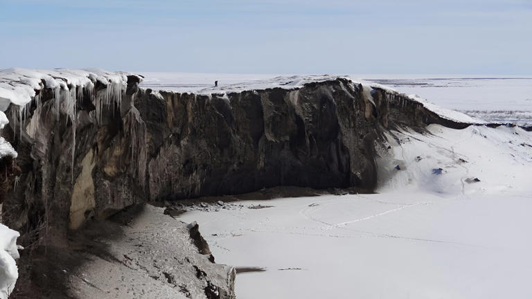 Source or sink? A review of permafrost's role in the carbon cycle