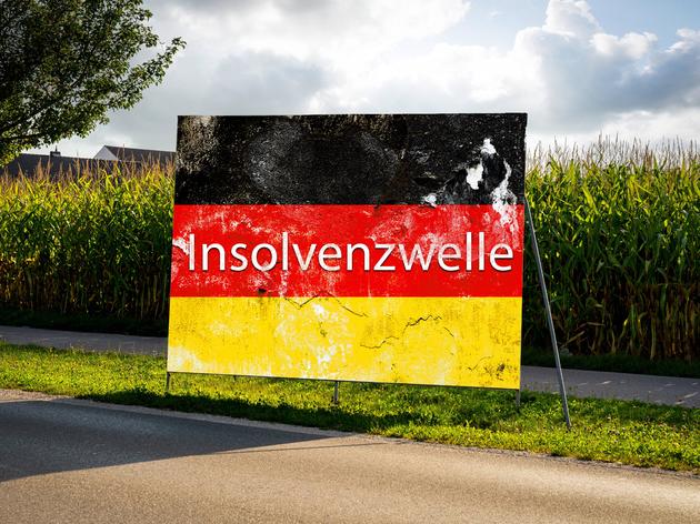 Pleitewelle In Deutschland: 2024 Drohen Mehr Als 20.000 Insolvenzen