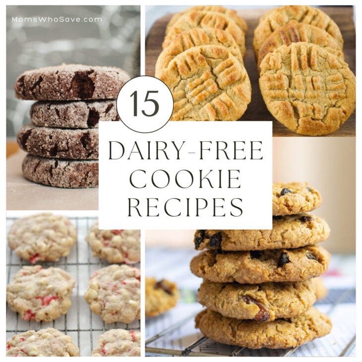 DairyFree Cookies 15 Delicious Recipes