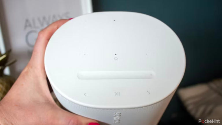 How to reset your Sonos speaker