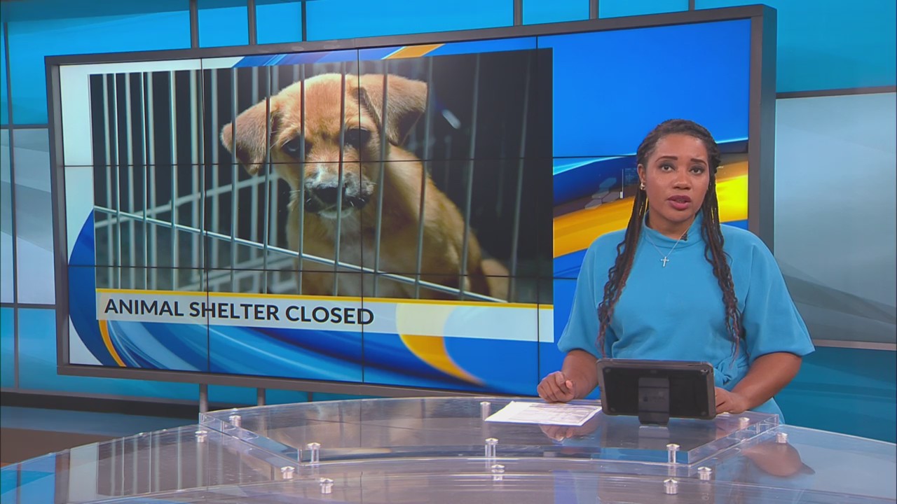 Marion County Animal Shelter Temporarily Closed Due To Parvovirus   BB1jl0tr.img