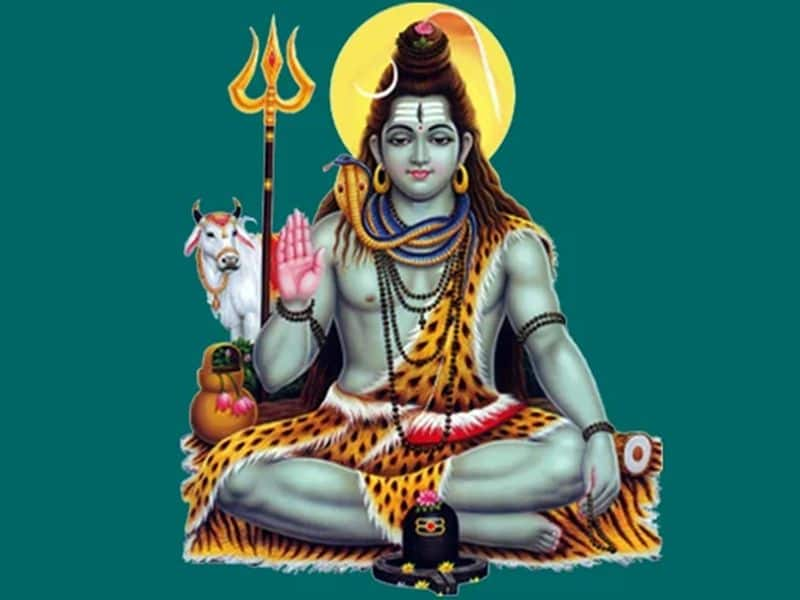 Maha Shivratri 2024: Know About Rituals, Puja Samagri List And Bhog To ...