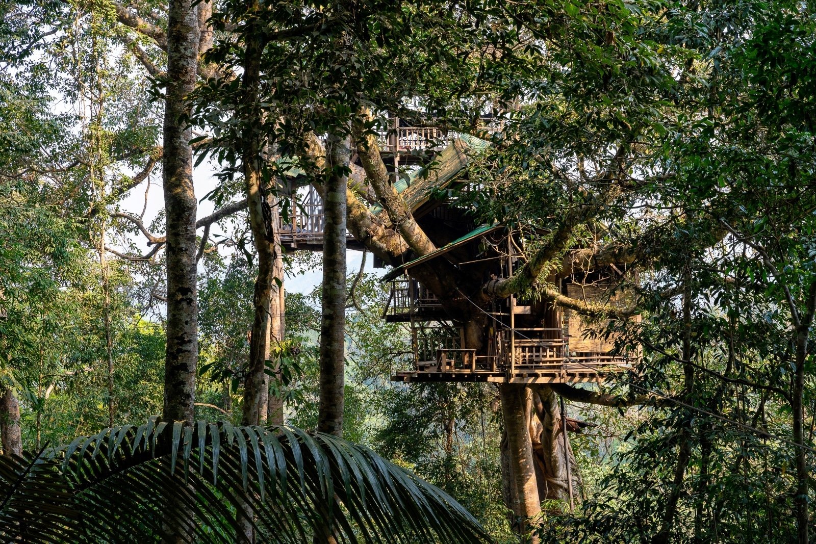 <p><span>The Gibbon Experience in Laos offers an adventurous treehouse stay in the heart of the Bokeo Nature Reserve. Accessible only by zip line, these treehouses are set high above the jungle floor, offering a unique vantage point to observe the surrounding wildlife, including gibbons.</span></p> <p><span>This eco-tourism project combines the thrill of zip-lining with conservation efforts, providing an adventurous yet responsible travel experience. The rustic treehouses enhance the sense of adventure and connection with nature. It’s an immersive experience, allowing you to live among the treetops and explore the jungle in a truly unique way.</span></p> <p><b>Insider’s Tip: </b><span>Book the Waterfall Treehouse for a more secluded and adventurous stay.</span></p> <p><b>When To Travel: </b><span>Visit from October to March for drier weather.</span></p> <p><b>How To Get There: </b><span>Fly to Luang Prabang or Chiang Rai, then travel by road to Houay Xai, where the Gibbon Experience begins.</span></p>