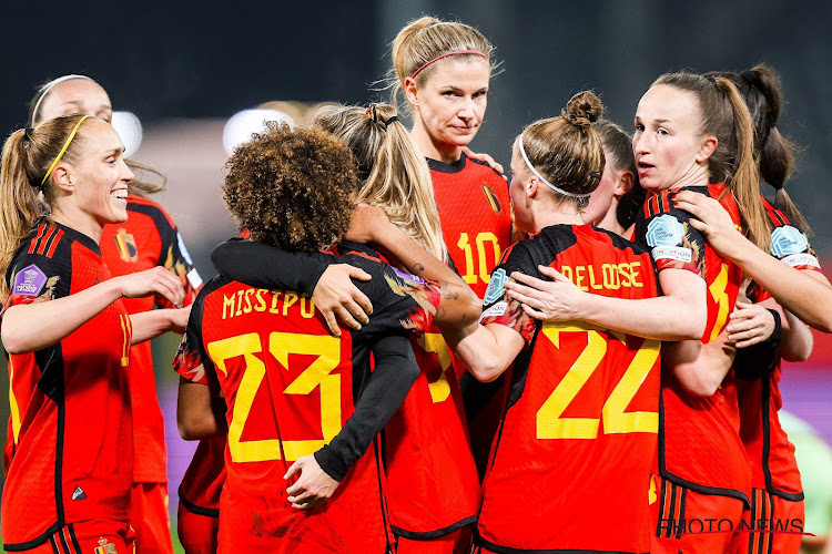 la belgique un peu plus près de l'organisation d'une coupe du monde : un candidat se retire