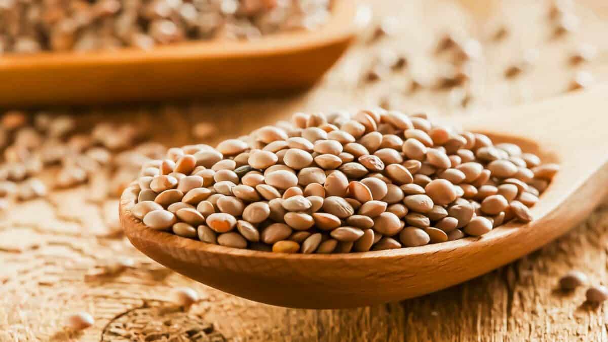 12 Foods That Have More Protein Than An Egg