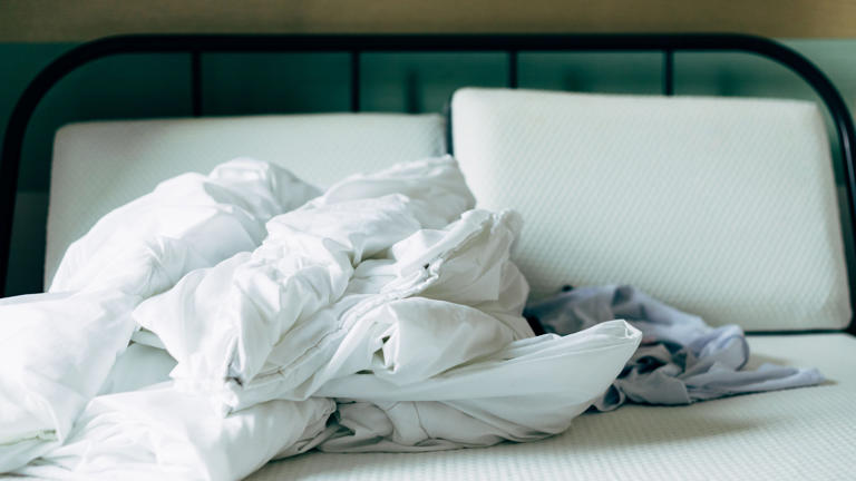 How To Choose A Mattress Protector For Bed Bugs, Dust Mites, Urine And More