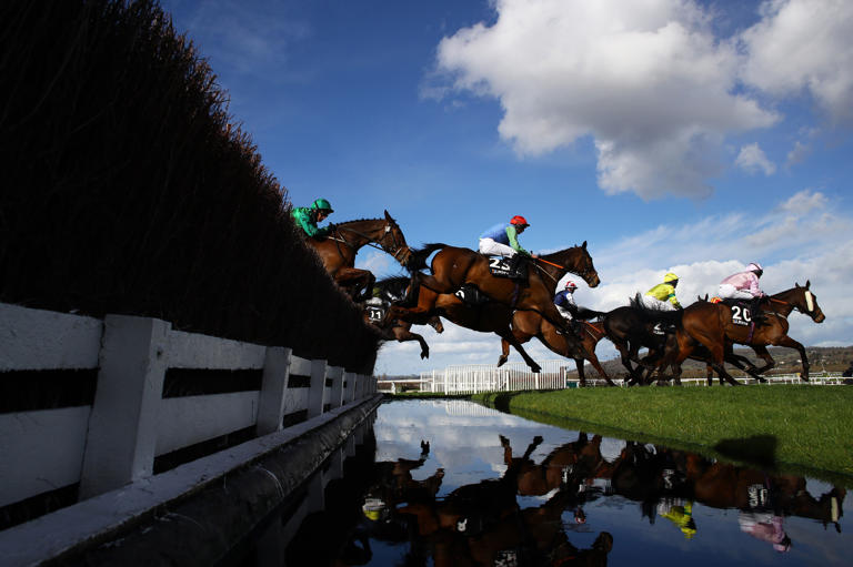 How to watch Cheltenham Festival 2024: TV channel and live stream for ...