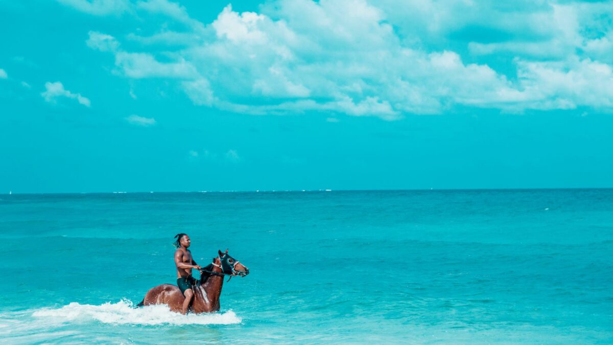 <p>Discover Jamaica from a new perspective by trying horseback riding. Traverse scenic trails and lush landscapes, and swim with your horse in the Caribbean Sea for a unique adventure.</p>