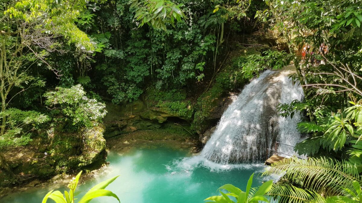 <p>Discover the magic of the Blue Hole, a hidden gem in the Jamaican countryside. Dive into the refreshing turquoise waters, surrounded by beautiful greenery, and appreciate the beauty that makes this spot a tropical paradise.</p>