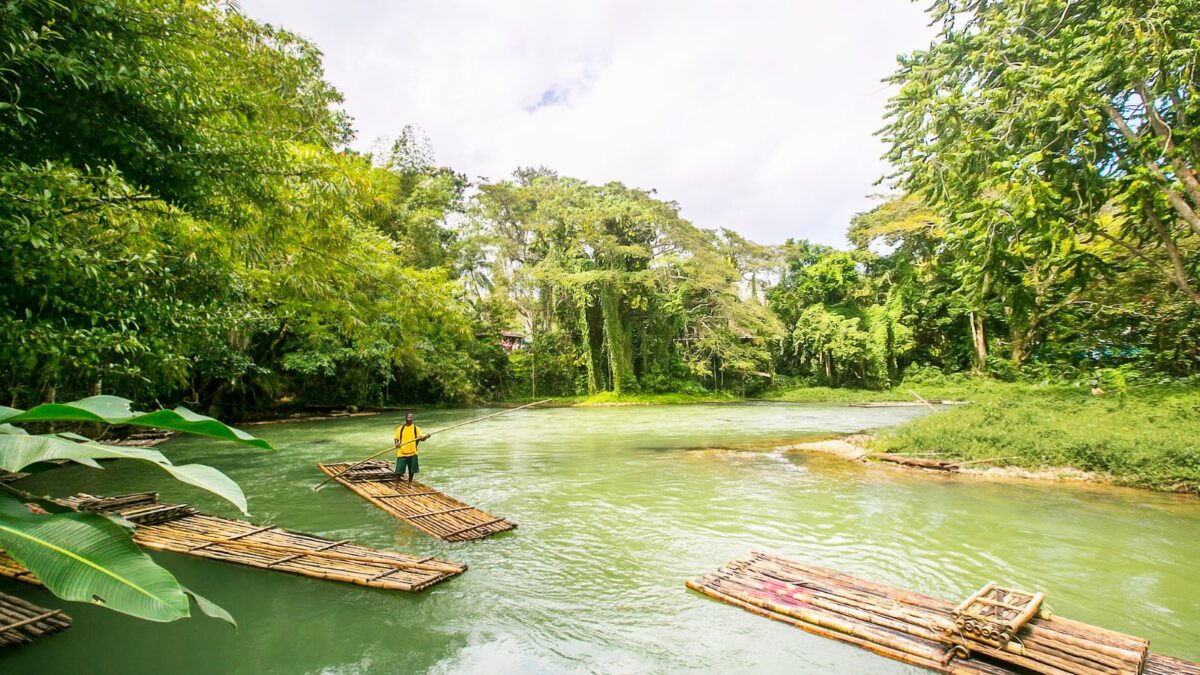 <p>Take a gentle ride on bamboo rafts along the Martha Brae River, guided by friendly captains sharing stories about the lush surroundings for a peaceful and unique experience.</p>