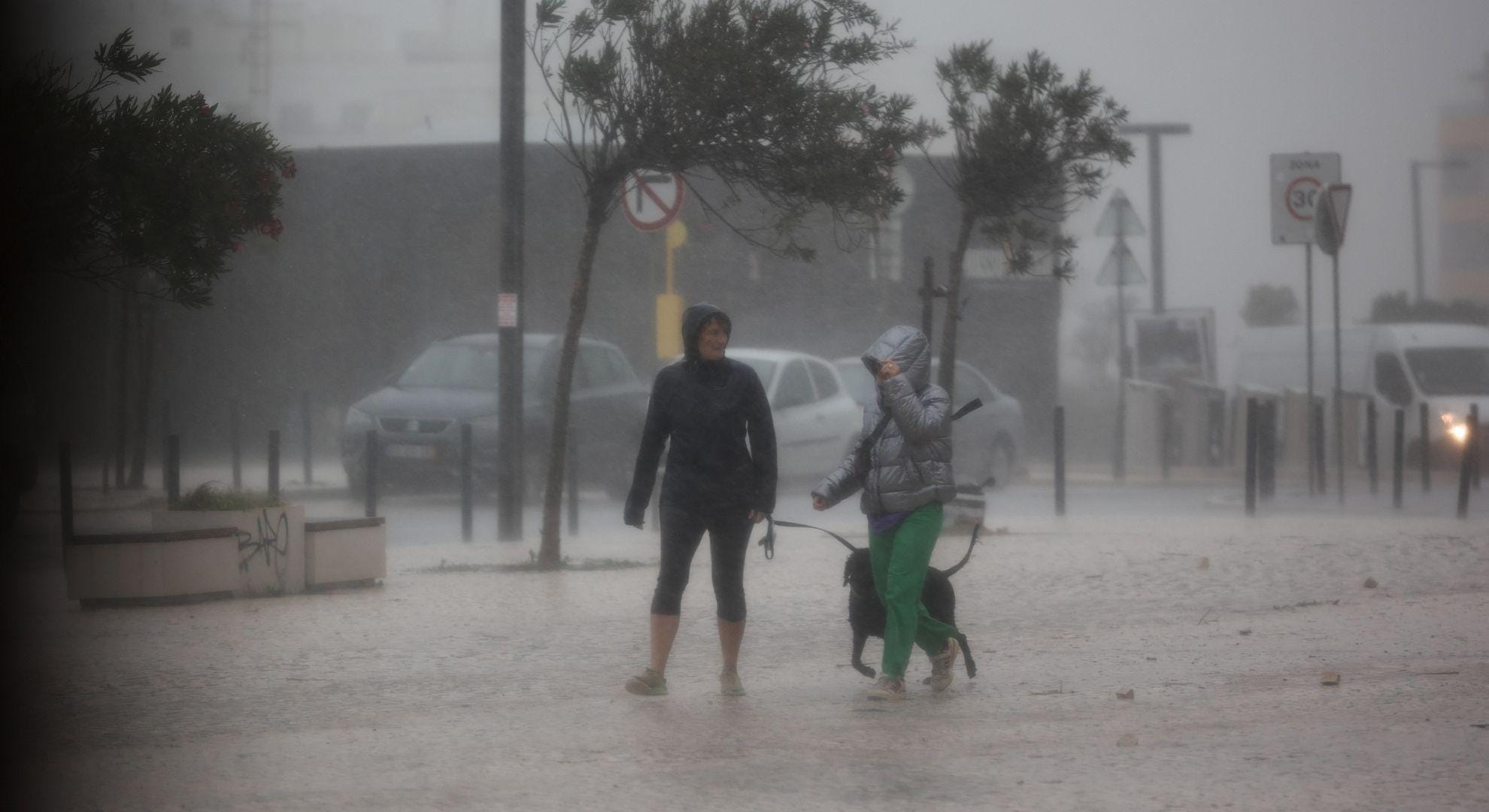 mau tempo: portugal deve preparar-se para mais e piores fenómenos extremos