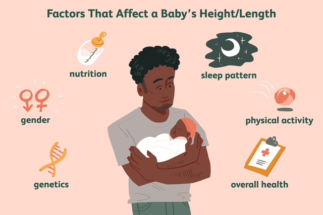 Average Baby Weight and Length: Month-by-Month Charts