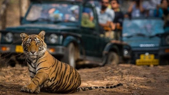 Jim Corbett to Ranthambore National Park, top 5 national parks in India