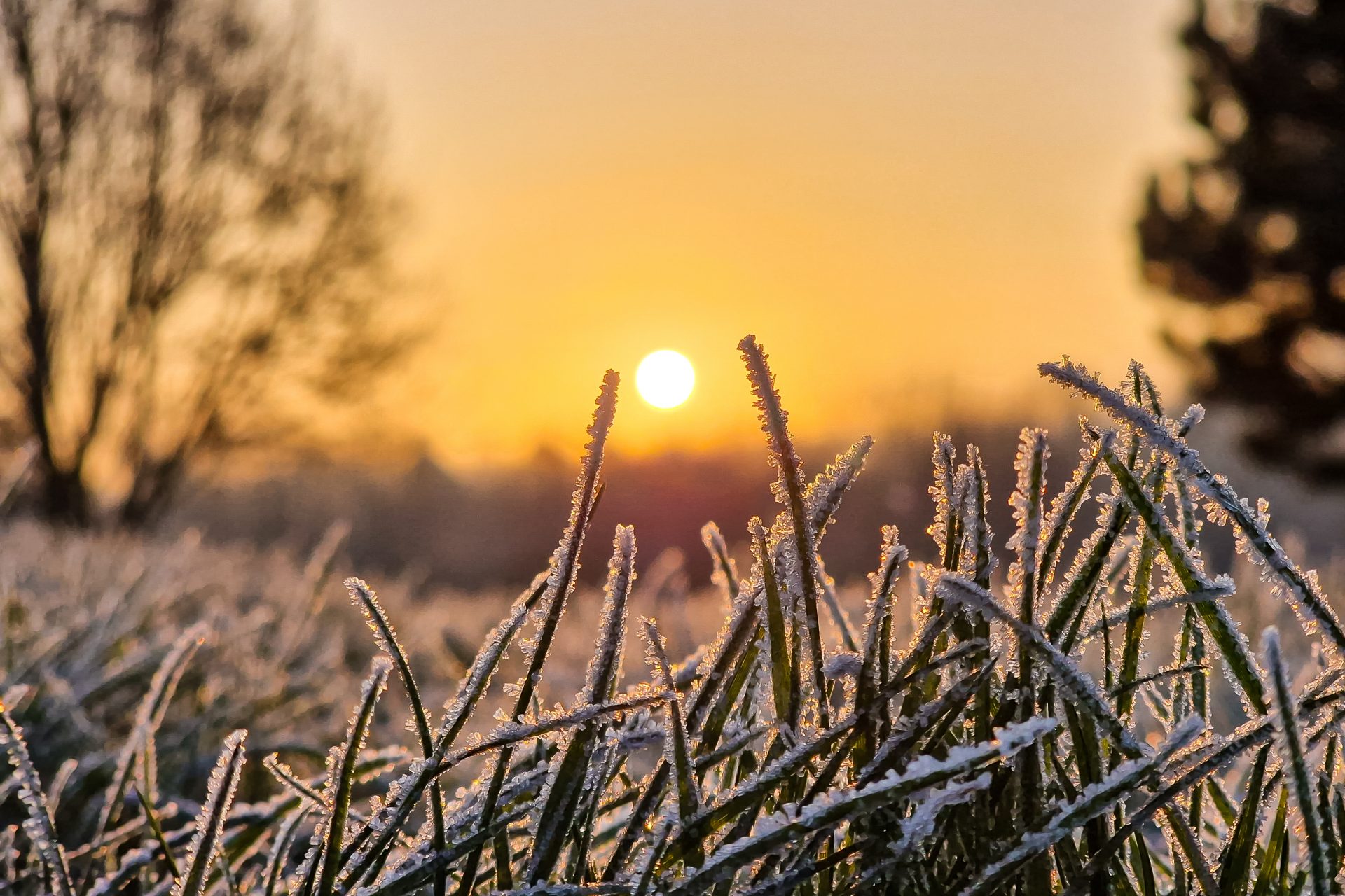 Nun also doch! Arktischer Wintereinbruch bis -15 Grad in Deutschland kommt