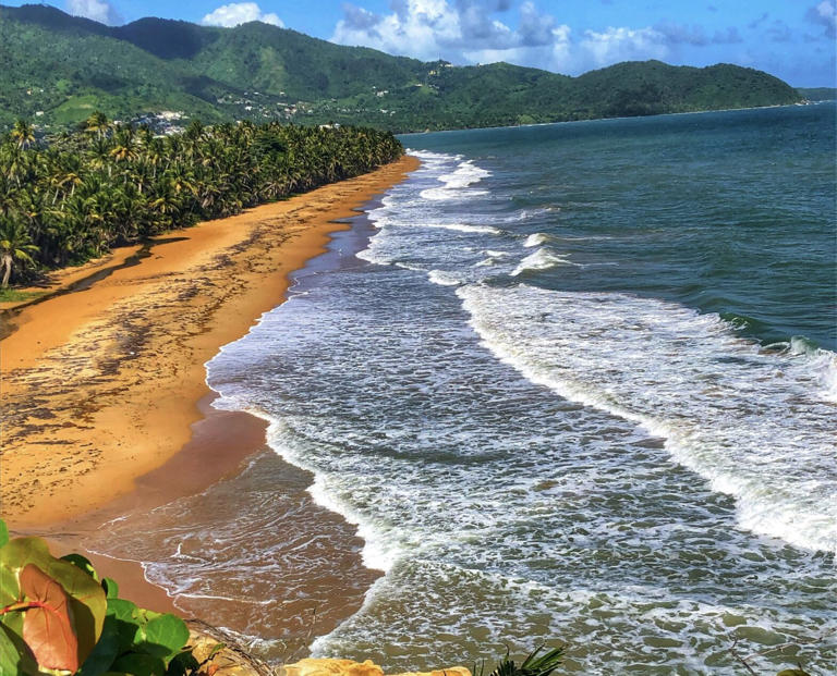 These are the top options for travelers looking to enjoy a beach vacation in Puerto Rico. Pictured: a warm beach with waves and lush green forests atop the mountains of Puerto Rico