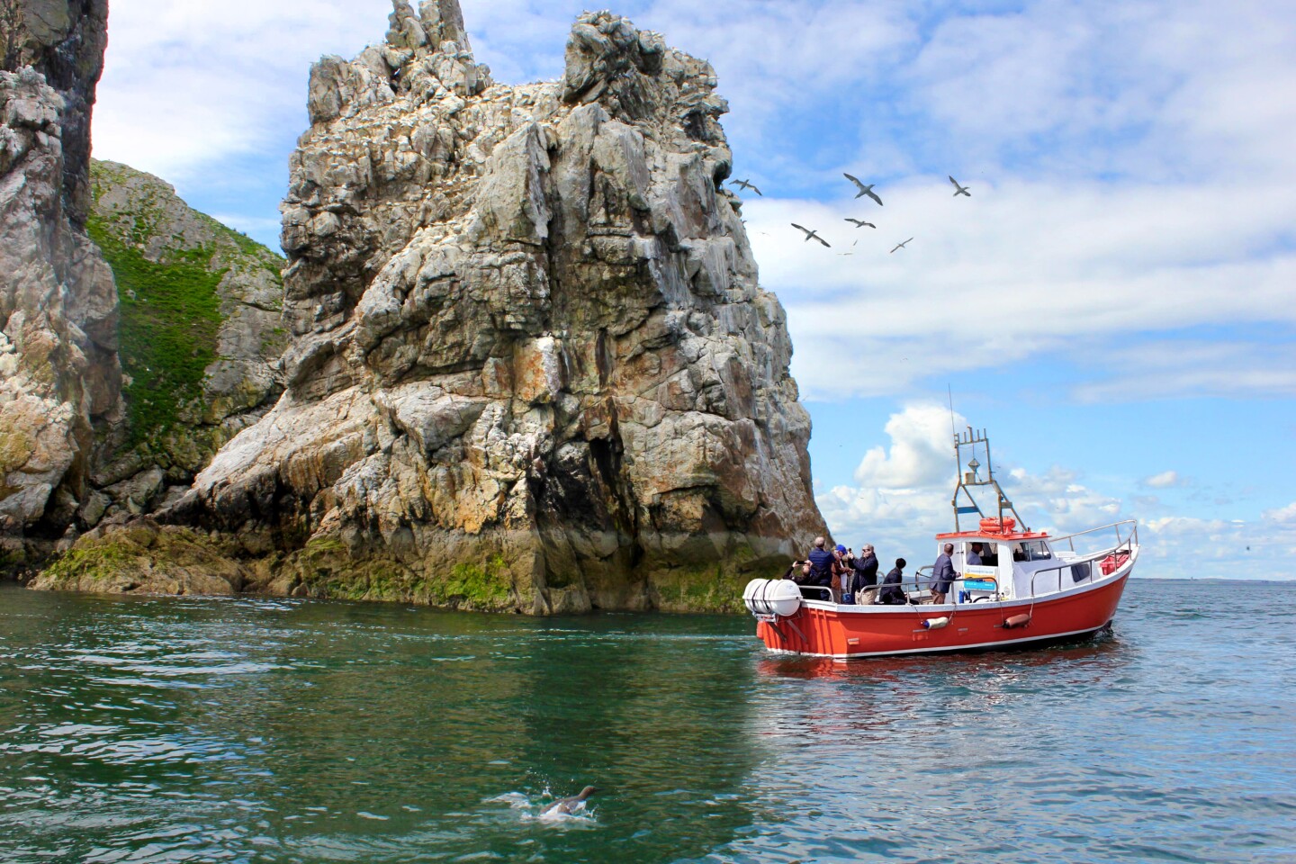 <a>Ireland's Eye Ferries offers small boat tours.</a>
