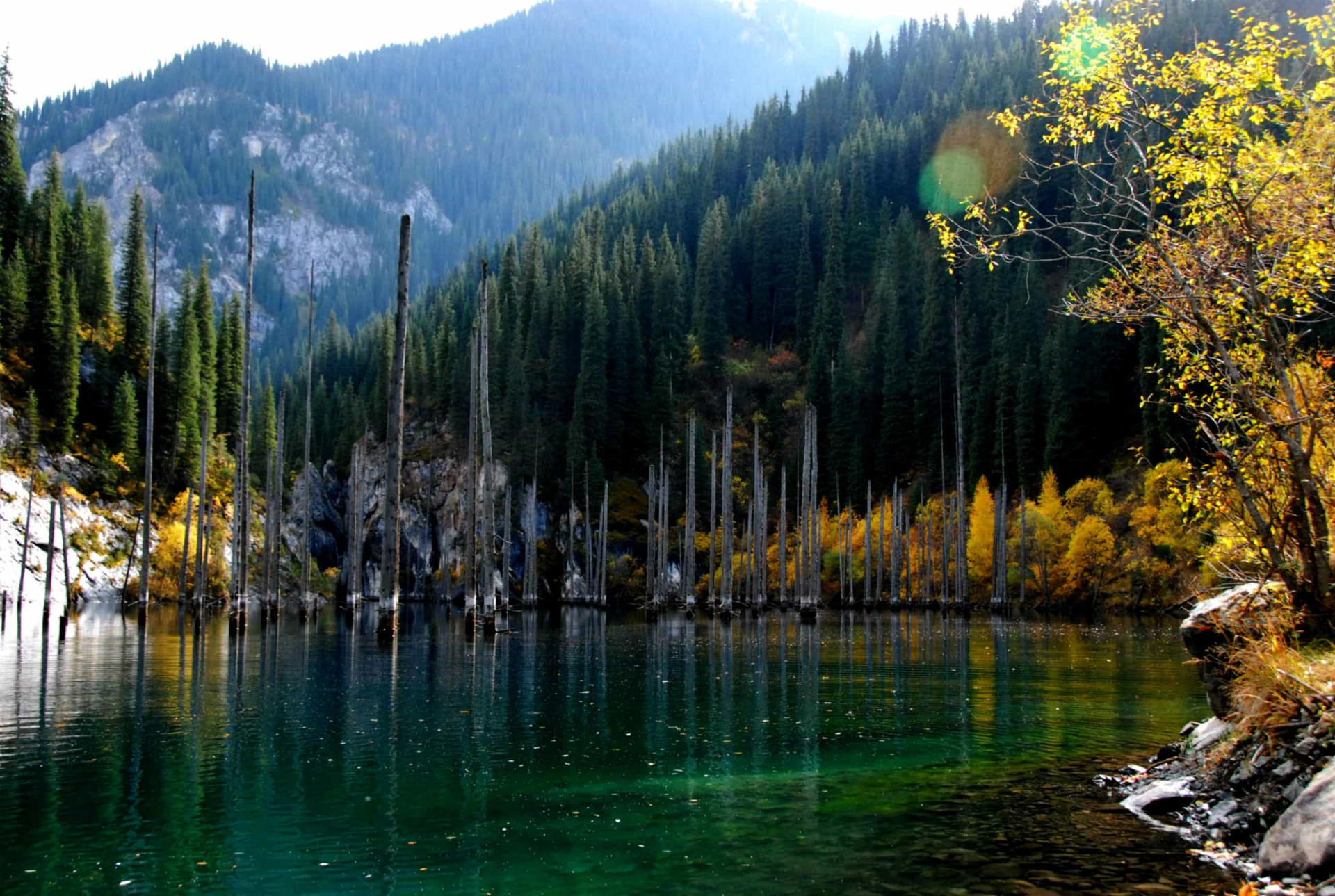 The amazing sunken forest that was created after an earthquake