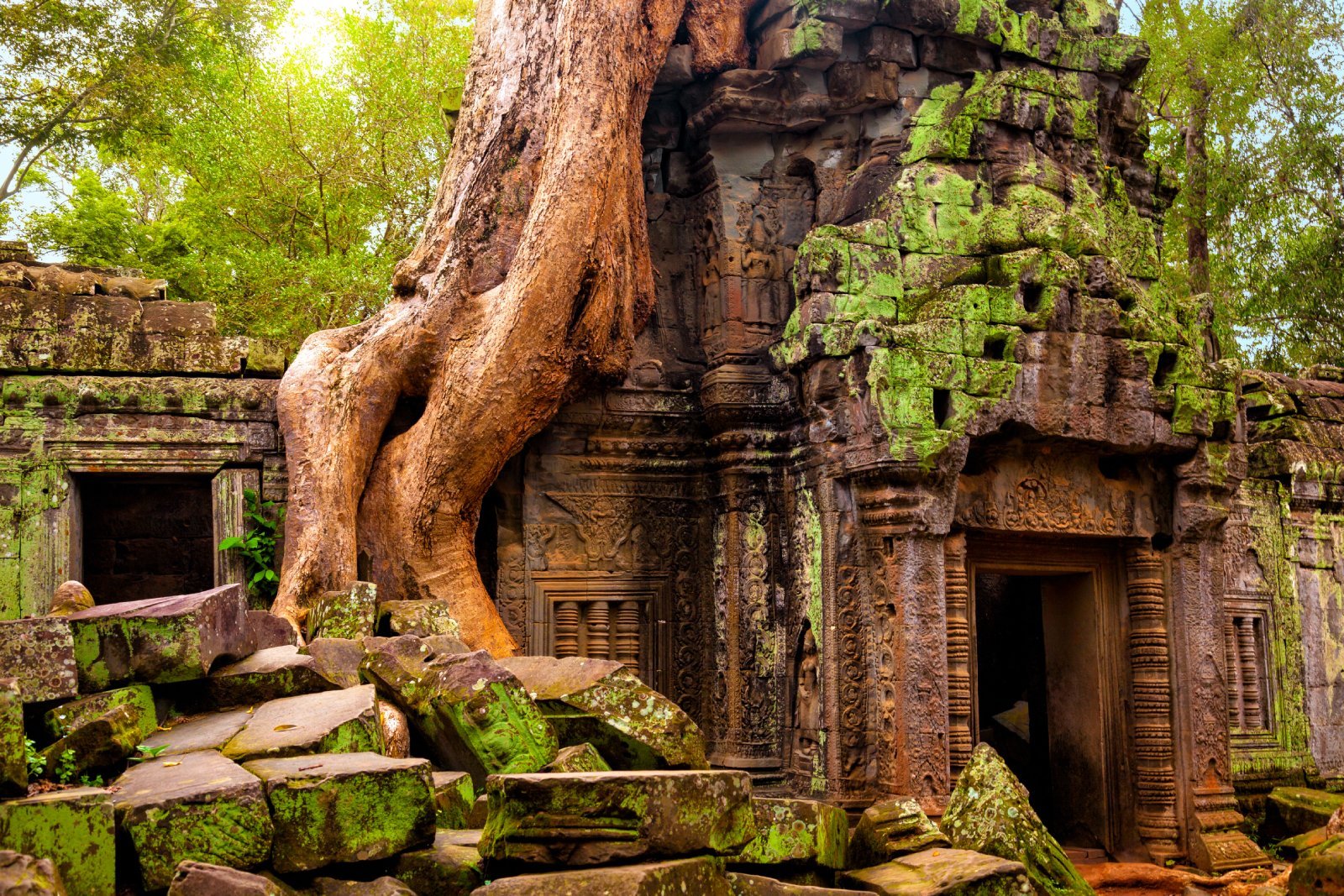 <p><span>After Angkor Wat, head to Ta Prohm, the temple famous for its intertwining trees and roots. This temple, a fusion of nature and architecture, provides a unique perspective on the Angkorian era. Continue to Angkor Thom, the last capital of the Khmer Empire, and visit the Bayon Temple, renowned for its 216 serene stone faces. </span></p> <p><b>My Insider’s Tip: </b><span>Visit Ta Prohm early to avoid crowds and experience the mystical atmosphere in relative solitude.</span></p>