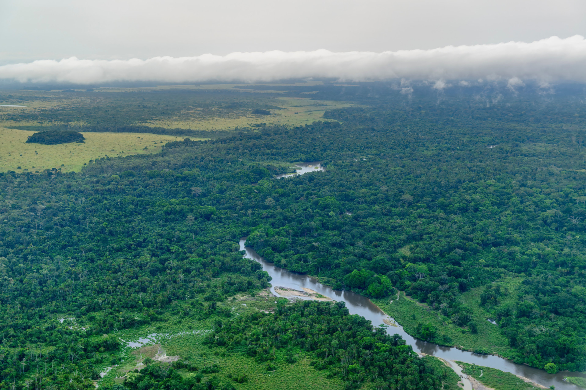 <p>Les deux tiers de la deuxième plus grande forêt tropicale du monde, qui a une superficie de 3 730 474 km² (1,3 million de mi²), pourraient bien disparaître d'ici à 2040 à cause de l'exploitation minière illégale.</p><p><a href="https://www.msn.com/fr-fr/community/channel/vid-7xx8mnucu55yw63we9va2gwr7uihbxwc68fxqp25x6tg4ftibpra?cvid=94631541bc0f4f89bfd59158d696ad7e">Suivez-nous et accédez tous les jours à du contenu exclusif</a></p>