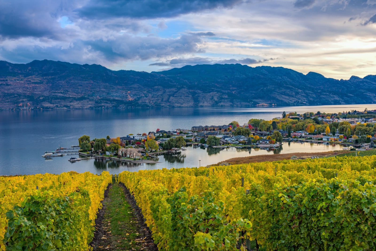 <p><span>Okanagan Valley, in British Columbia, Canada, is a wine region that has embraced sustainability with open arms. Known for its diverse microclimates and a wide range of varietals, the valley’s wineries are at the forefront of eco-friendly practices. This includes water conservation, the use of renewable energy, and organic farming methods.</span></p> <p><span>The region’s stunning natural beauty, with its lakes, mountains, and forests, provides a picturesque backdrop for wine tours. Visitors can explore the unique terroir that contributes to the distinct flavors of Okanagan wines.</span></p> <p><span>The commitment to sustainability here goes beyond the vineyards, with many wineries also focusing on building sustainable communities and preserving the natural landscape for future generations.</span></p> <p><b>Insider’s Tip: </b><span>Visit during the fall to experience the vibrant colors of the vineyards and partake in harvest events.</span></p> <p><b>When to Travel: </b><span>Summer and early fall are the best times to visit for warm weather and vineyard activities.</span></p> <p><b>How To Get There: </b><span>The Okanagan Valley is about a 5-hour drive from Vancouver or a short flight to Kelowna.</span></p>