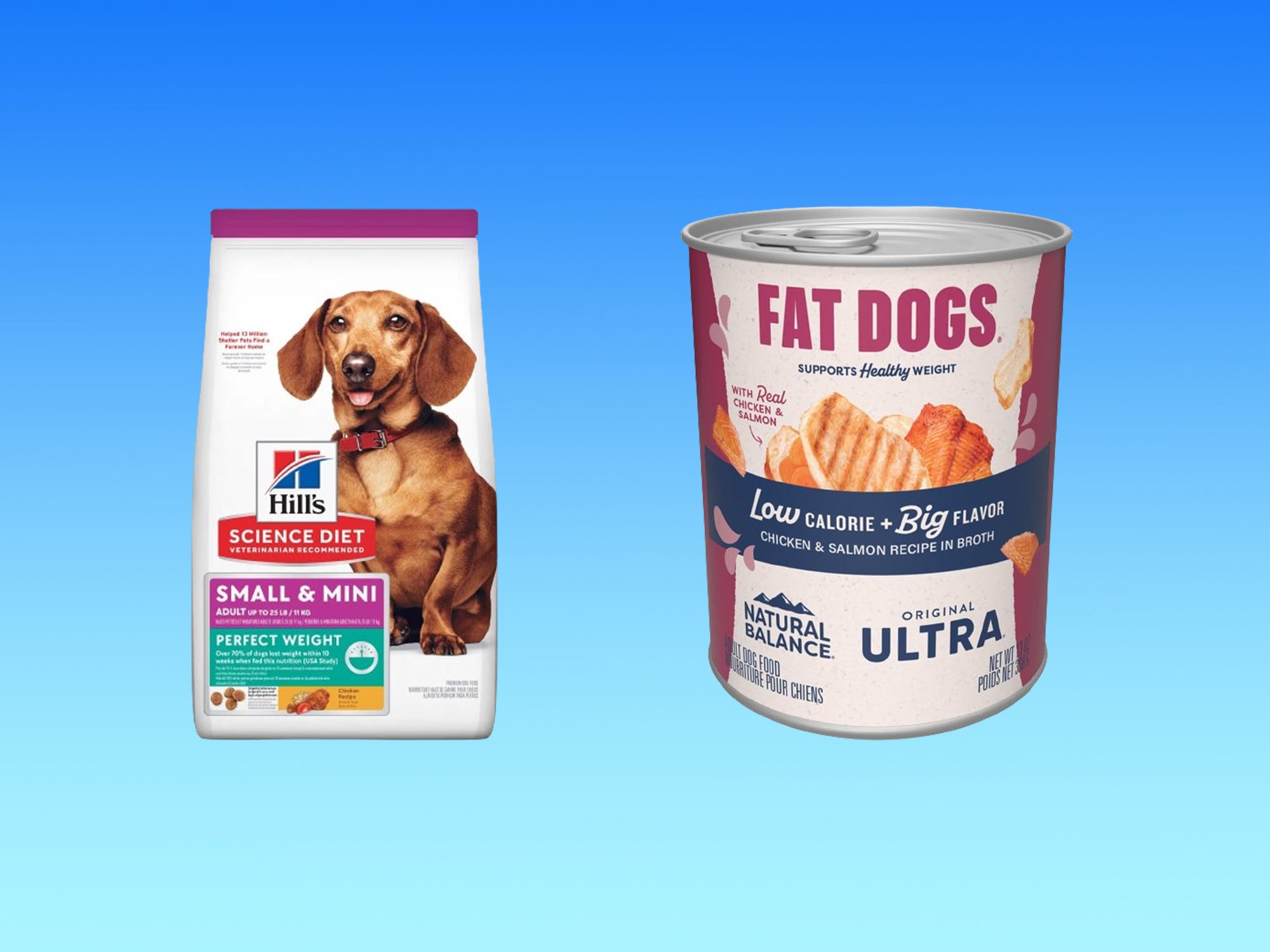 The best dog food for weight loss in 2024