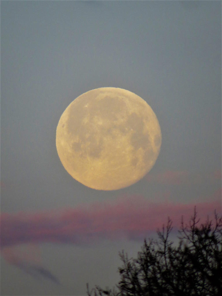 The full 'worm moon' brings 2024's first lunar eclipse this weekend