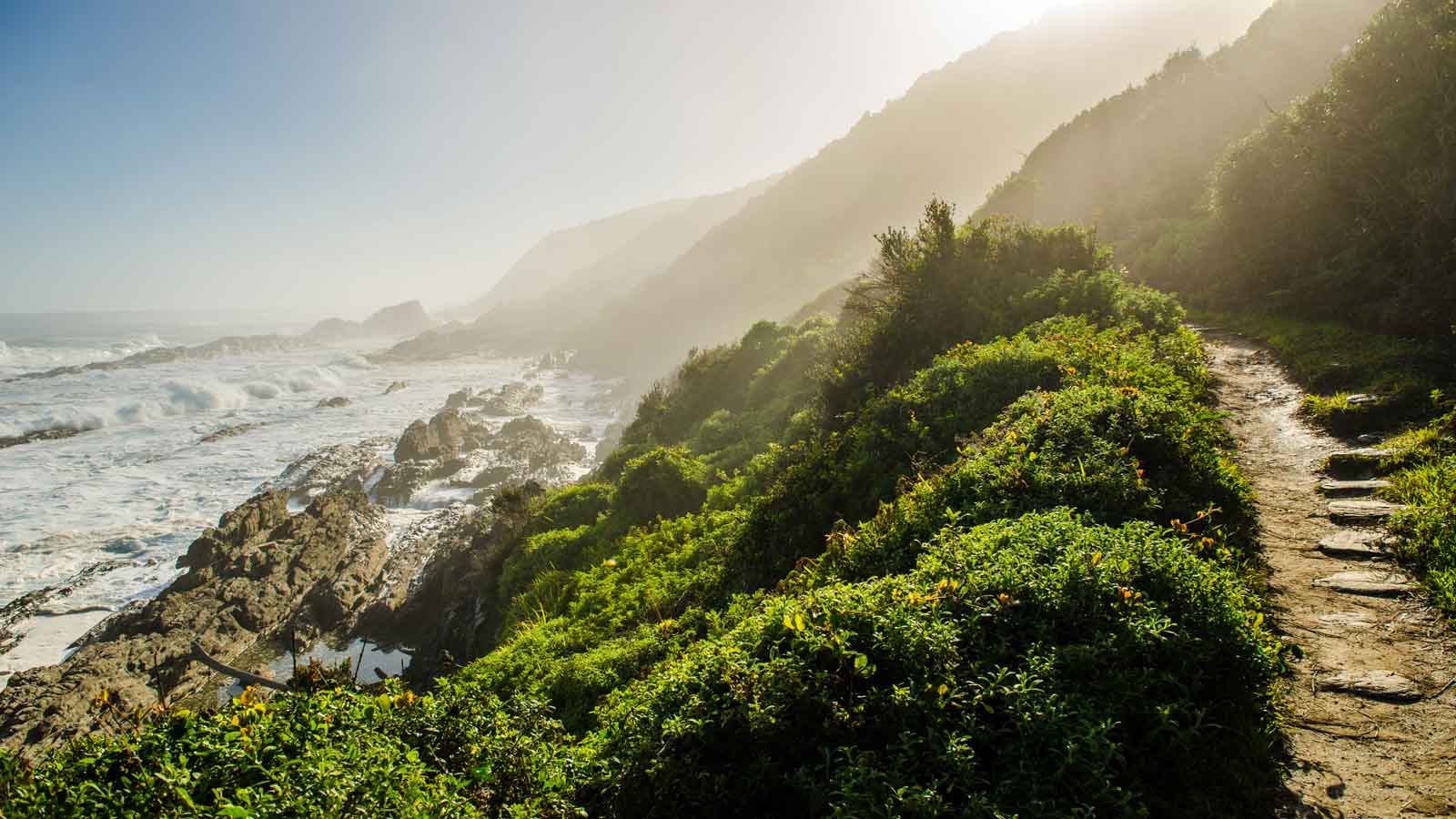 <p>While in Tsitsikamma, consider taking the Garden Route. This 186-mile road takes you past some of the most breathtaking scenery you will ever see of mountain passes, seascapes, diverse ecosystems, and quaint coastal towns.</p>