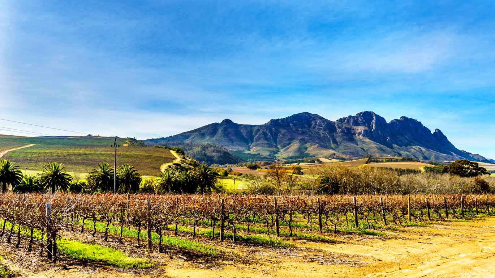 <p>Whether you’re a wine connoisseur or a traveler looking for a good time, a trip to the <a href="https://www.go2africa.com/destinations/cape-winelands/where-to-go" rel="nofollow noopener">Cape Winelands</a> is well worth your time. There are wine trams that take you to the vineyards, and the mountainous terrain you drive through is a bonus.</p>
