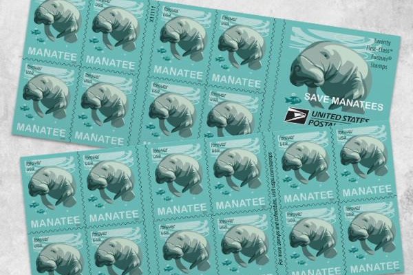 U.S. Postal Service's Latest Forever Stamp To Feature Manatees