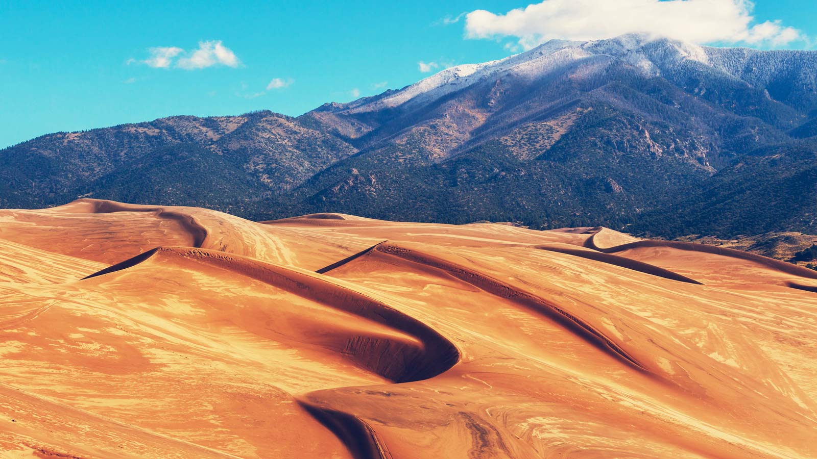 <p>We know, we know. Colorado is known for snowboarding, but have you ever tried its summer sister sport, sandboarding? Luckily, you can try it out (or do it again) at <a href="https://www.nps.gov/grsa/index.htm" rel="nofollow noopener">Great Sand Dunes National Park and Preserve</a>.</p><p>Despite the change in weather, the concept of sandboarding is similar to snowboarding. And you can sandboard anywhere on the dunes, as long as you’re away from the areas with thriving plant life. All you have to do is rent a sandboard and slide your way down the sandy slopes.</p><p>The park is dog-friendly too. Our dog, Sunny, loved playing here.</p>