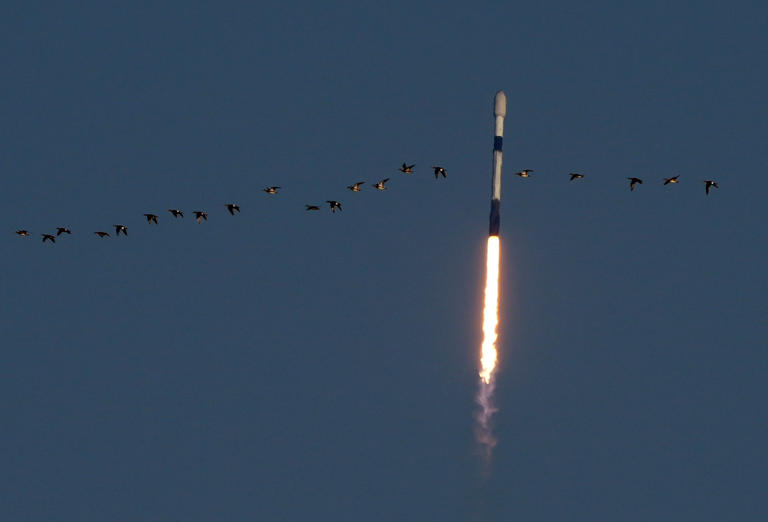 SpaceX rocket launch: Where to watch Monday’s launch from Daytona, New ...