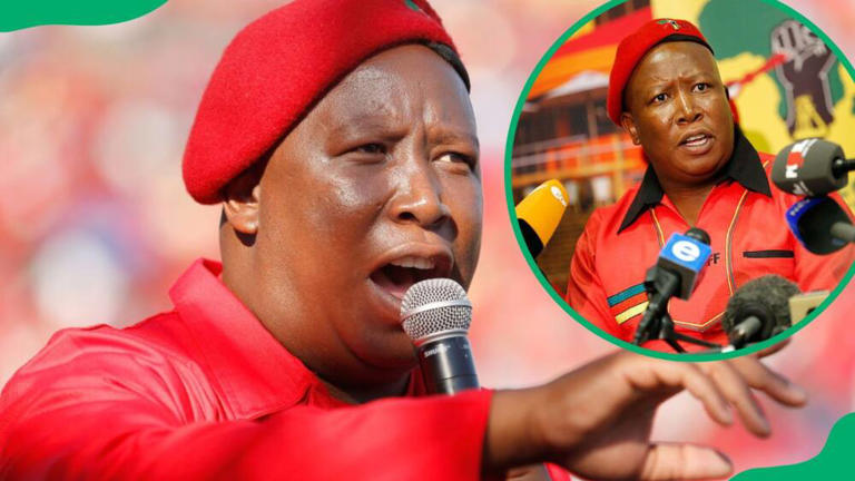 Julius Malema S Net Worth Salary Cars House And Businesses