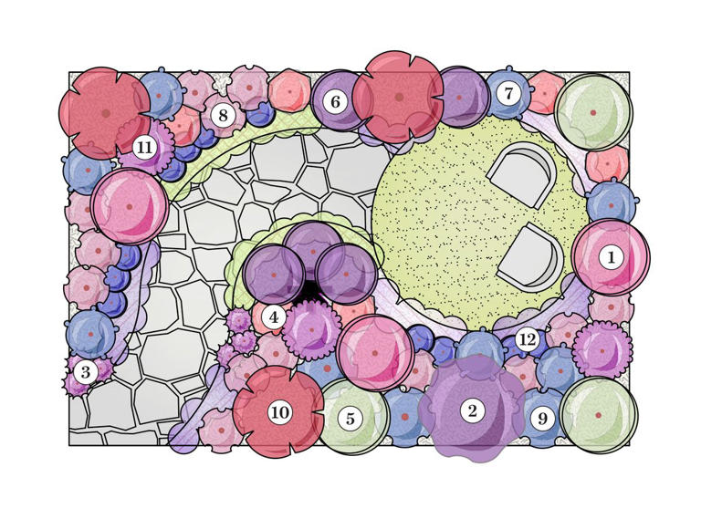 How to Design and Grow a Cutting Garden