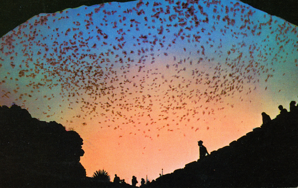 Carlsbad Caverns Elevator Plunges Visitors into Hidden Depths