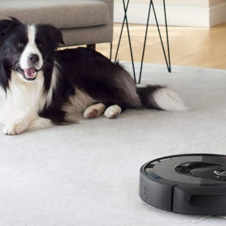 Best robot vacuums for pet hair in 2024, according to pet owners