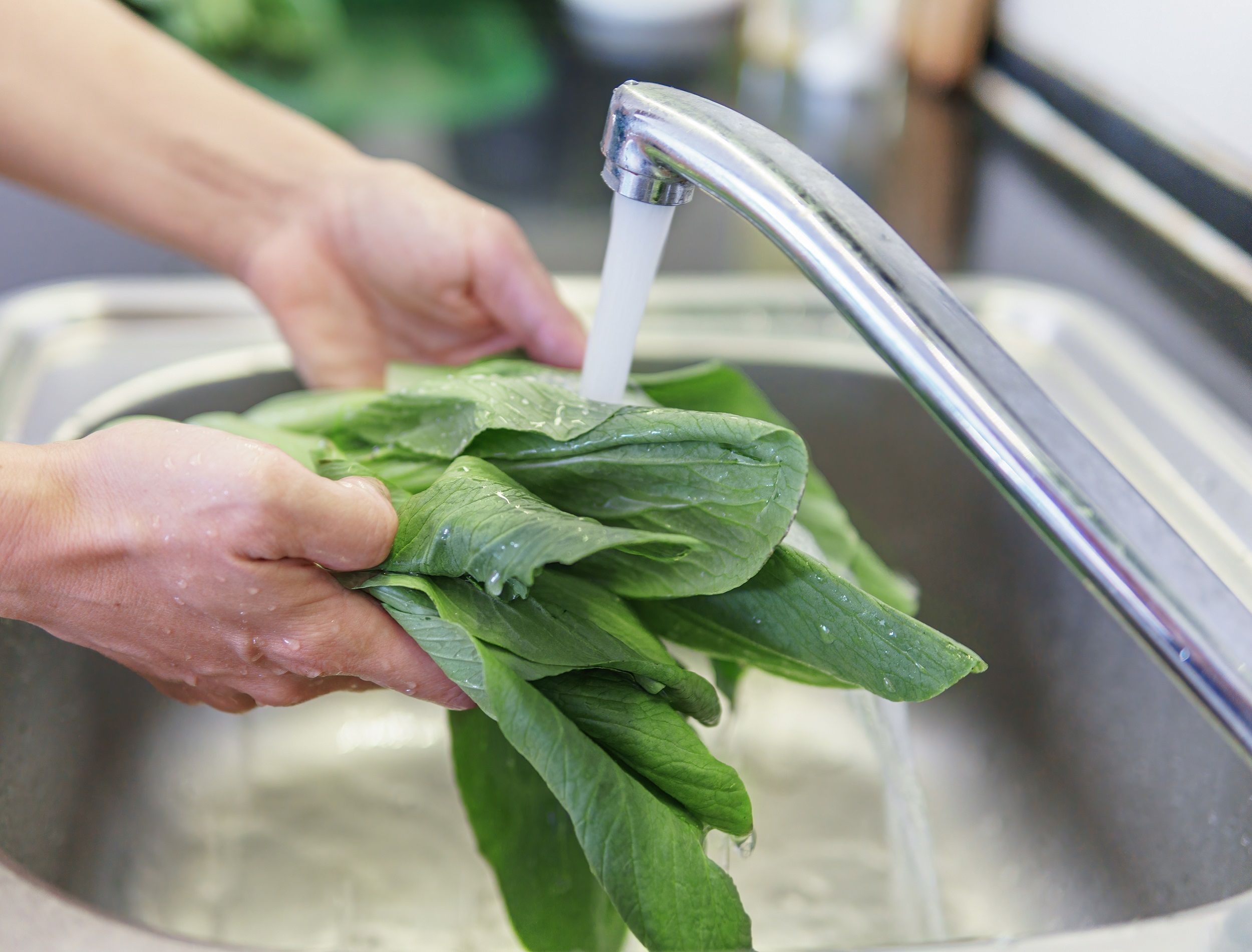 How To Grow Bok Choy In The Garden