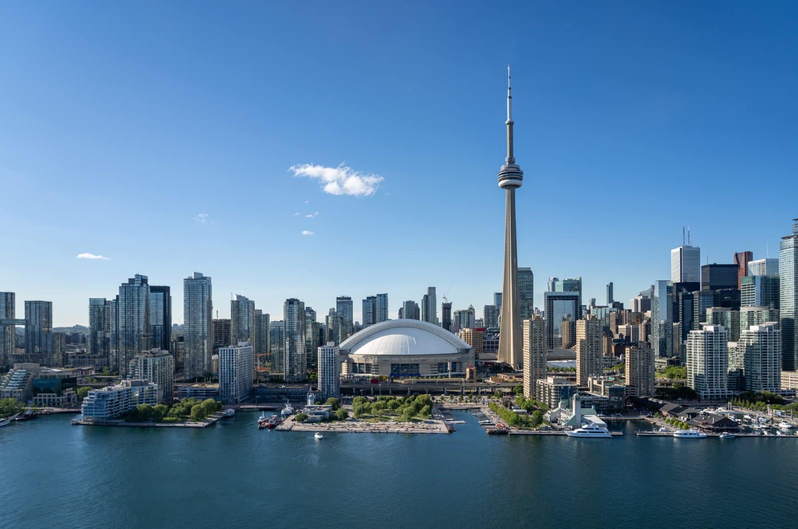 Image Credit: Shutterstock / Artem Zavarzin <p><span>Toronto’s diverse cultural makeup is mirrored in its food offerings, making it an exciting destination for vegan and vegetarian travelers. The city boasts an extensive selection of plant-based restaurants covering a wide range of cuisines and dining experiences. Toronto is also known for its vegan bakeries and dairy-free ice cream shops, ensuring that plant-based eaters don’t miss out on sweet treats.</span></p> <p><b>Insider’s Tip: </b><span>Explore the Kensington Market area for eclectic vegan-friendly cafes and grocery stores specializing in plant-based products.</span></p>