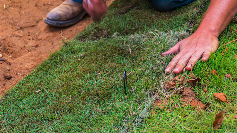 Simple Tips For Bringing Your St. Augustine Grass Back To Life